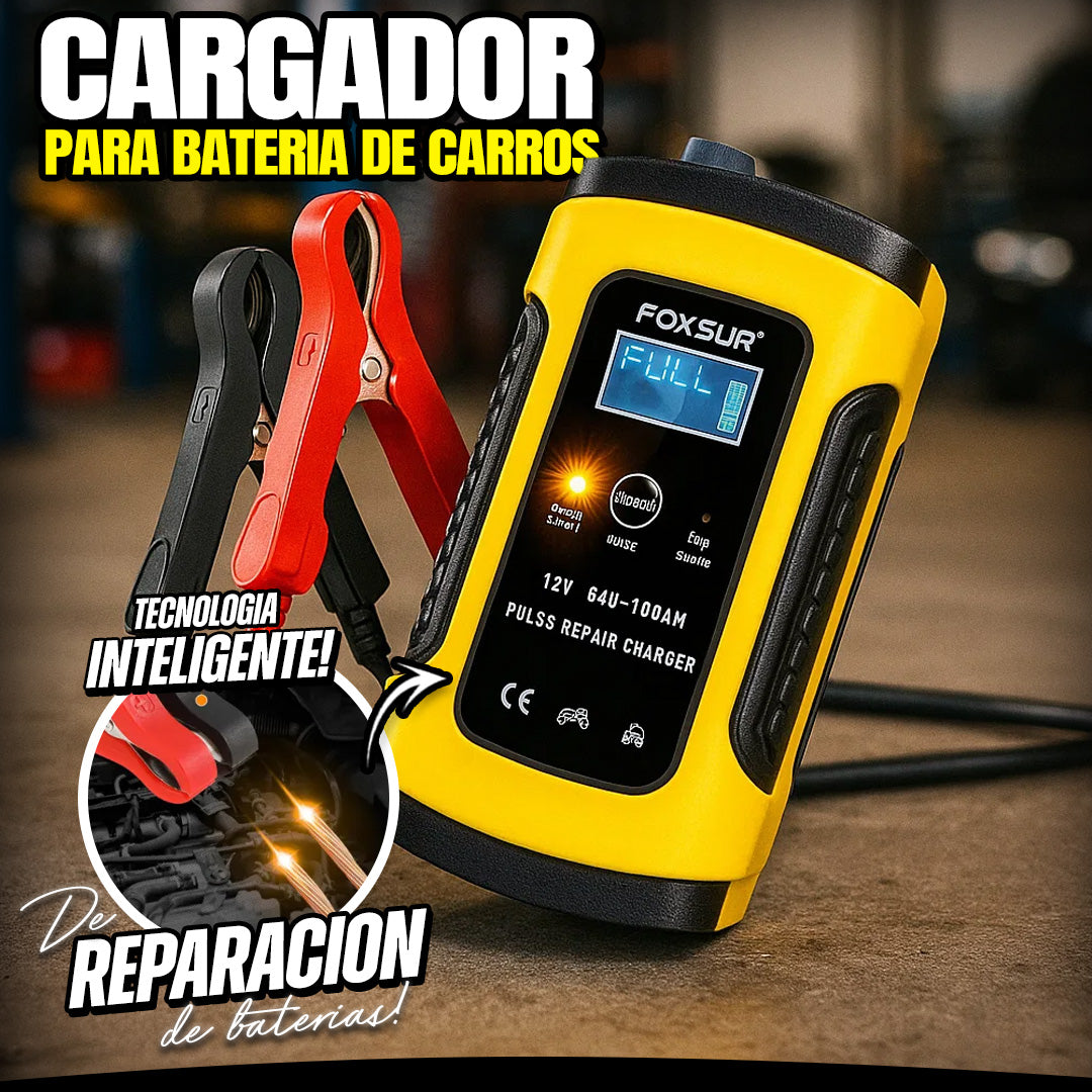 Cargador Batería Inteligente